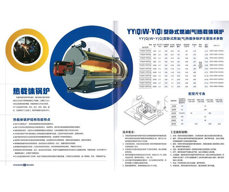 Heat carrier boiler