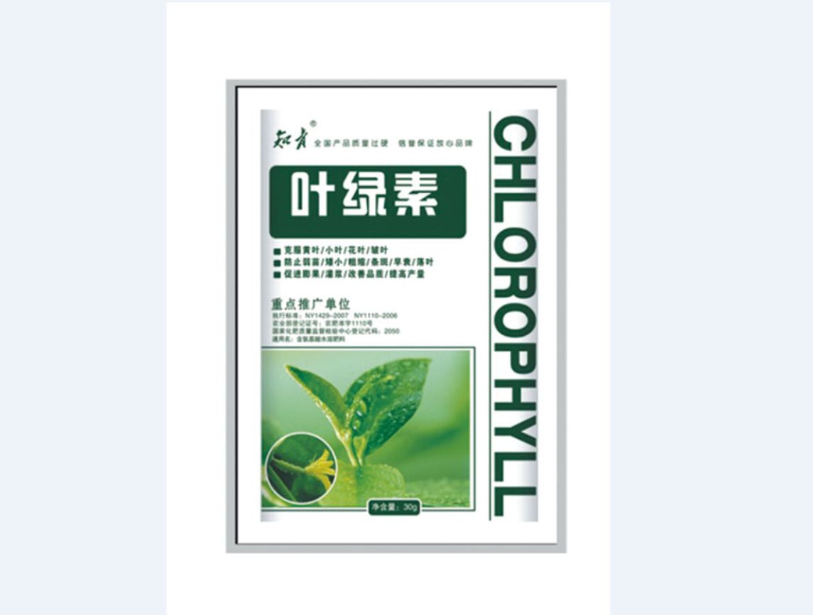 知青葉綠素
