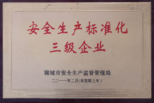 安全生產(chǎn)標(biāo)準(zhǔn)化三級企業(yè)
