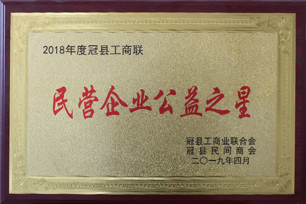 民營企業(yè)公益之星