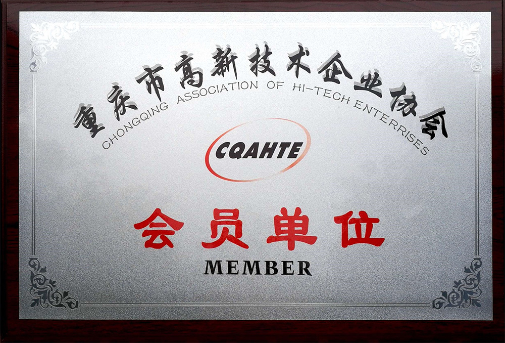 Chongqing Municipal High Technology Enterprise Association's Member Enterprise