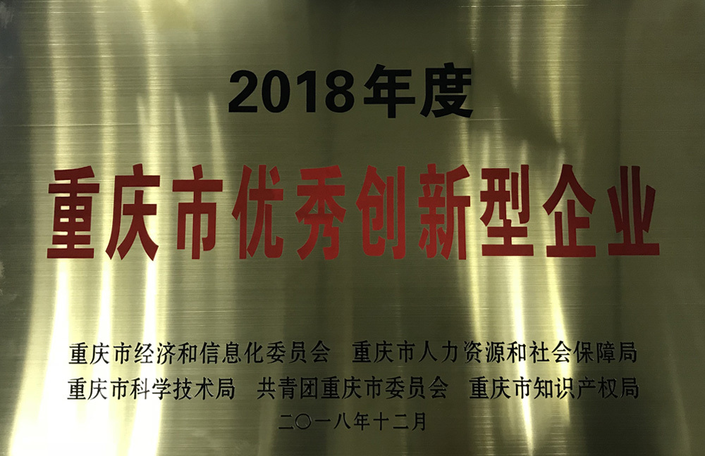 2018-Chongqing Municipal Excellent Innovative Enterprise