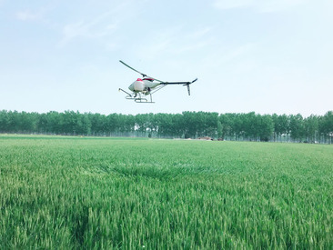 河南小麥作業