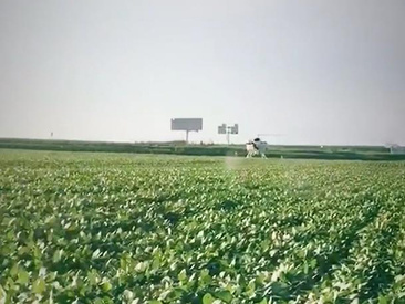 遼寧農(nóng)時達植保大豆飛防作業(yè) 遼寧農(nóng)時達植保大豆飛防作業(yè)