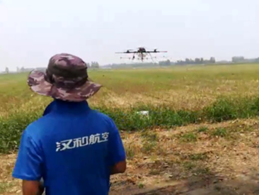 河南玉米除草作業