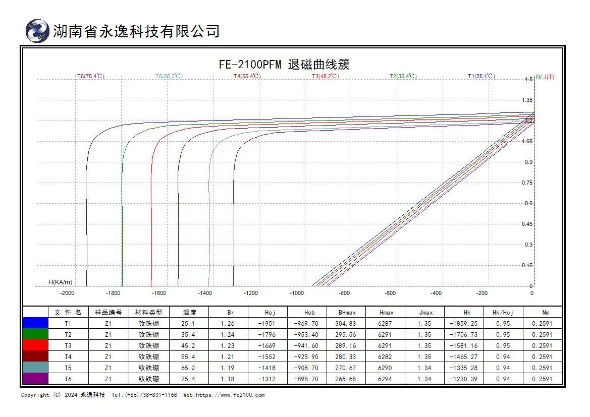 FE-2100PFM脈沖場永磁測量儀
