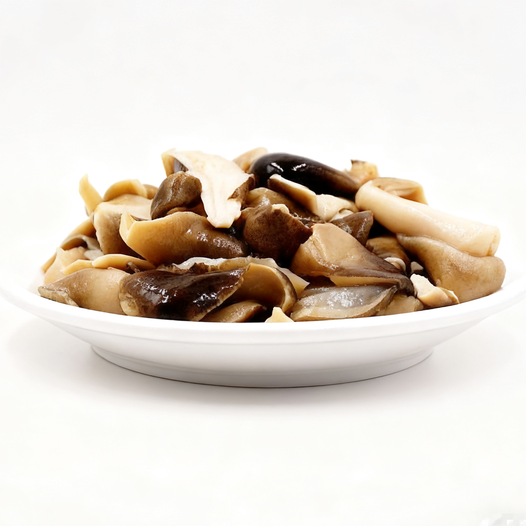 CANNED STRAW MUSHROOMS BROKEN CANNED STRAW MUSHROOMS BROKEN