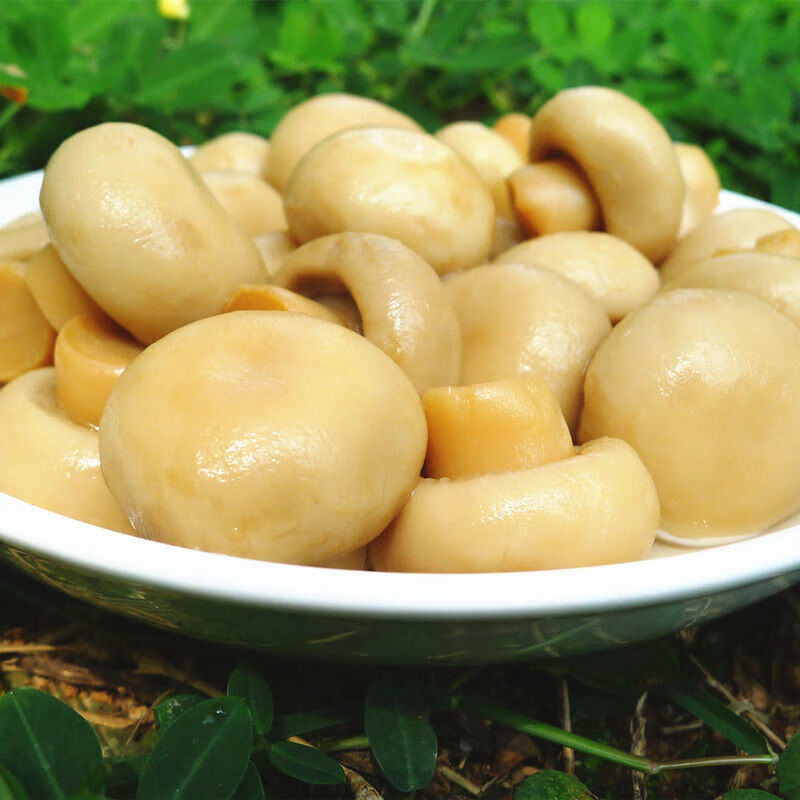 CANNED POKU MUSHROOMS WHOLE CANNED POKU MUSHROOMS WHOLE