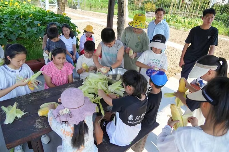 繽紛夏日 “暑”你精彩---第十四屆恒基暑期夏令營第二期活動火熱進行