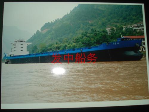 河牛316