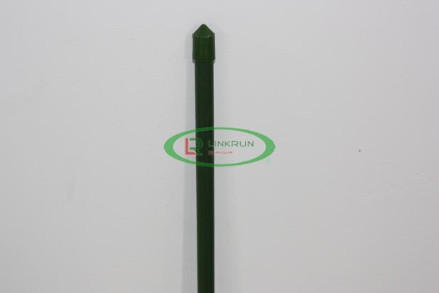 Plant Stick 5