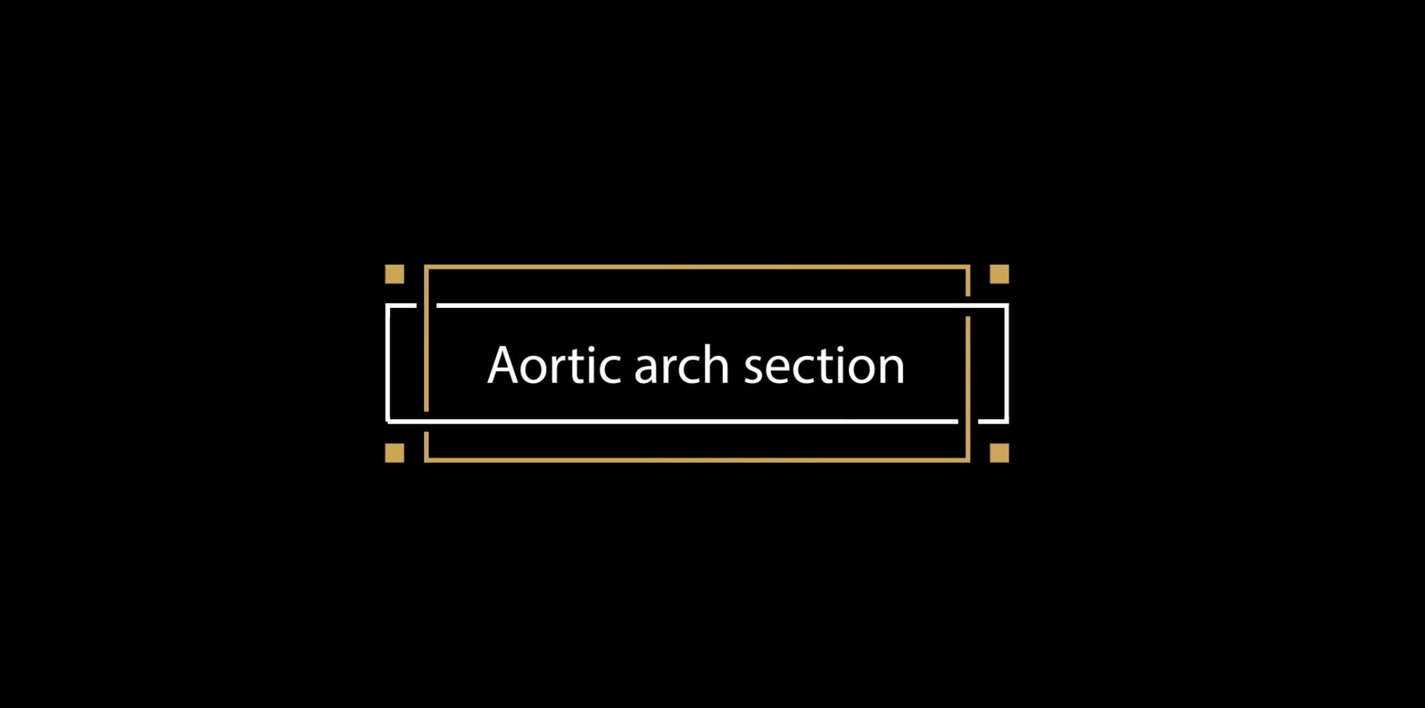 Aortic arch section