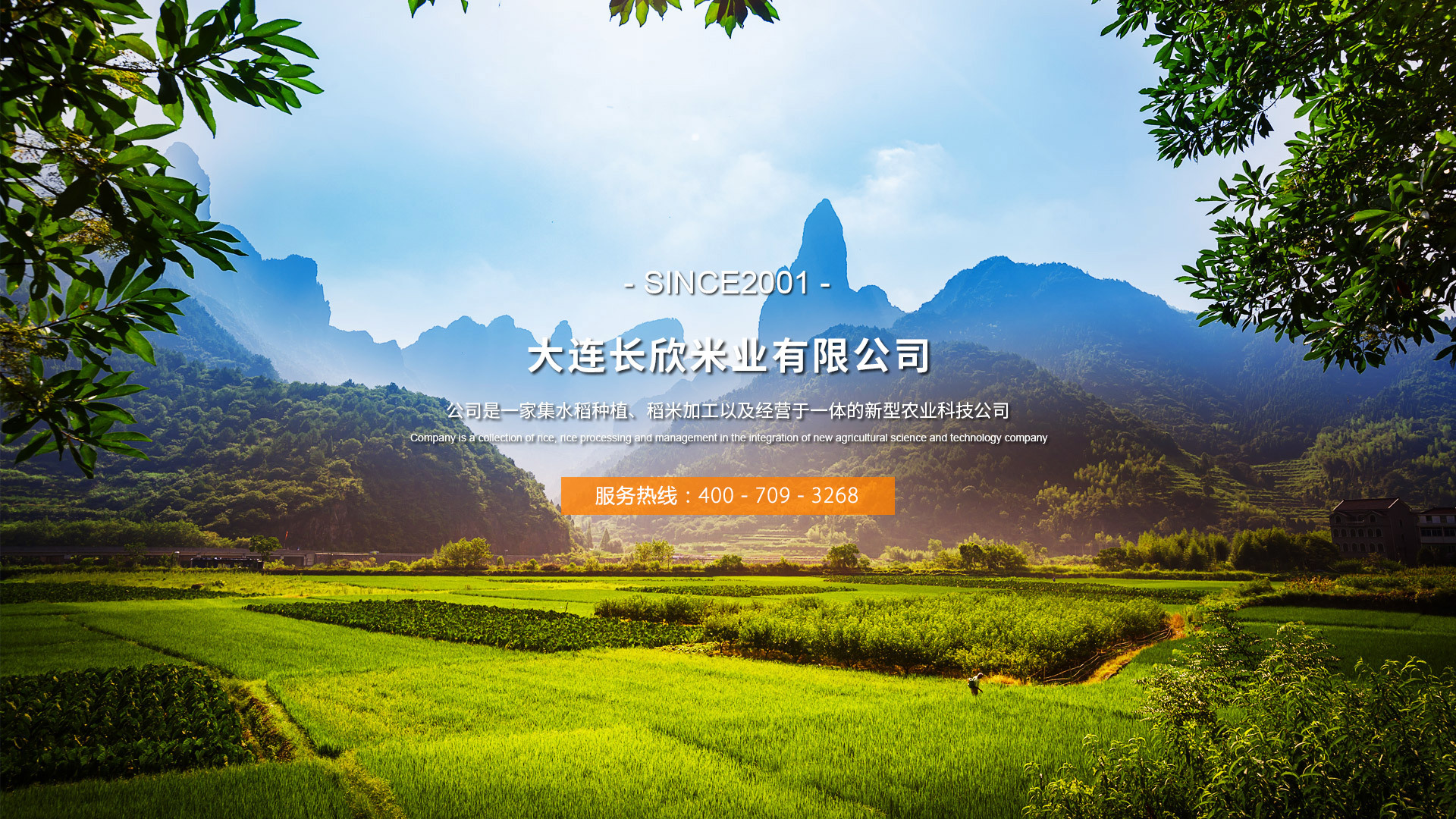 大连长欣米业有限公司
