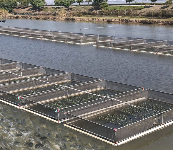 水產養殖場