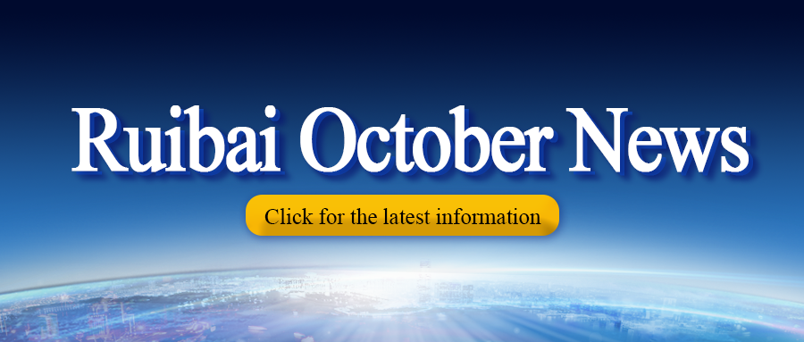 Ruibai Group News Brief for October 2024