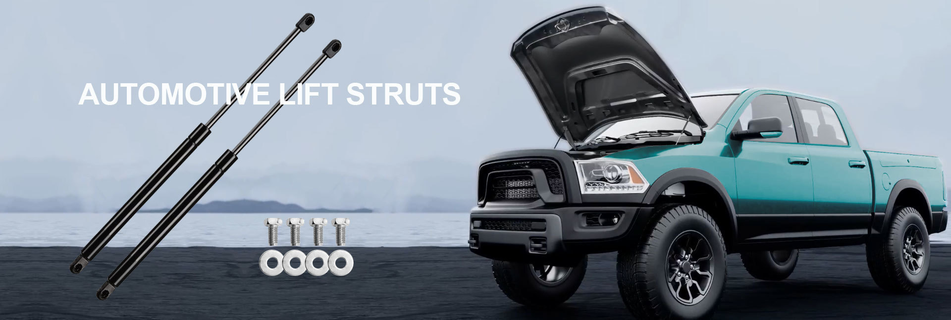 Tailgate Lift Struts