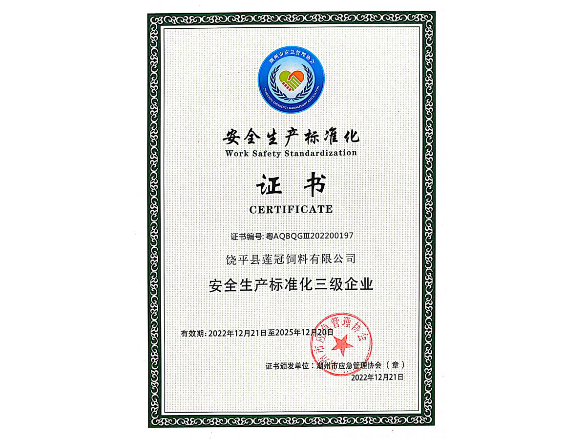 安全生產(chǎn)標(biāo)準(zhǔn)化 安全生產(chǎn)標(biāo)準(zhǔn)化