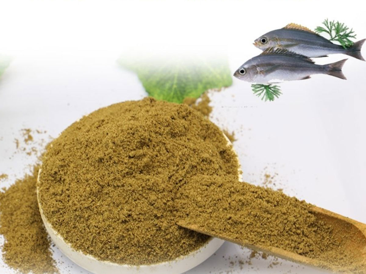 魚粉