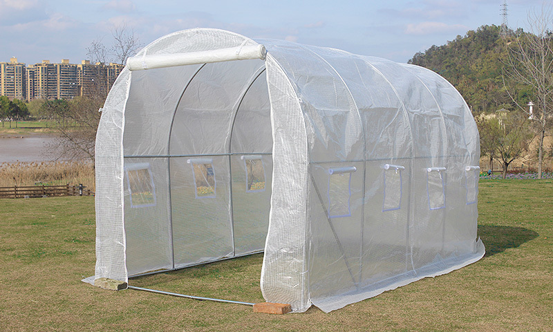Polytunnel Greenhouse