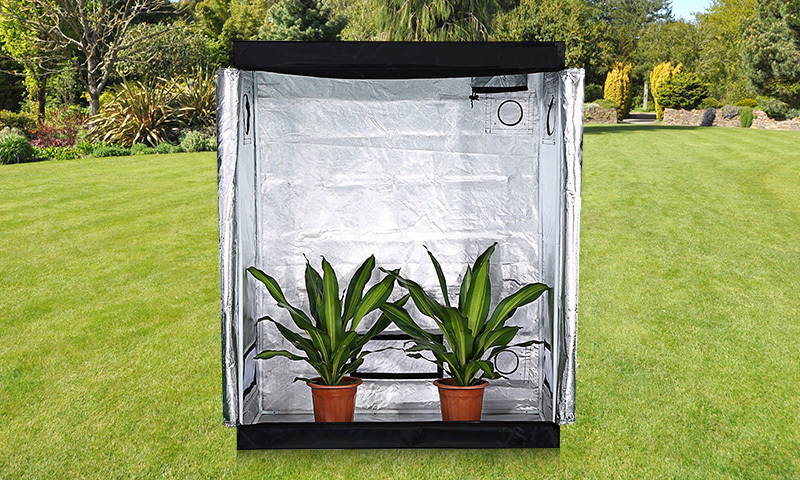 Indoor Hydroponics Grow Tent