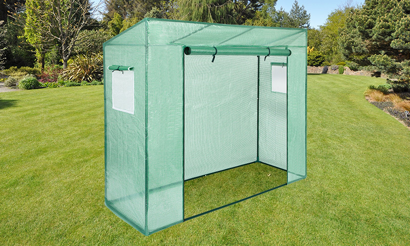 Tomato Greenhouse
