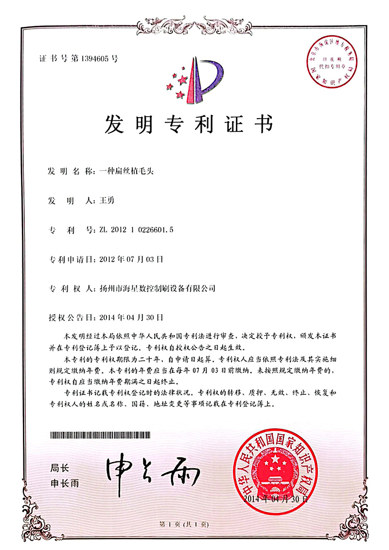 一种扁丝植毛头12.7.3