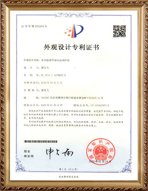 Chinese Patent 1
