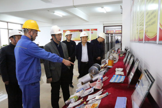 河南省市场监管局质量发展处副处长杨建国一行到万基控股集团调研