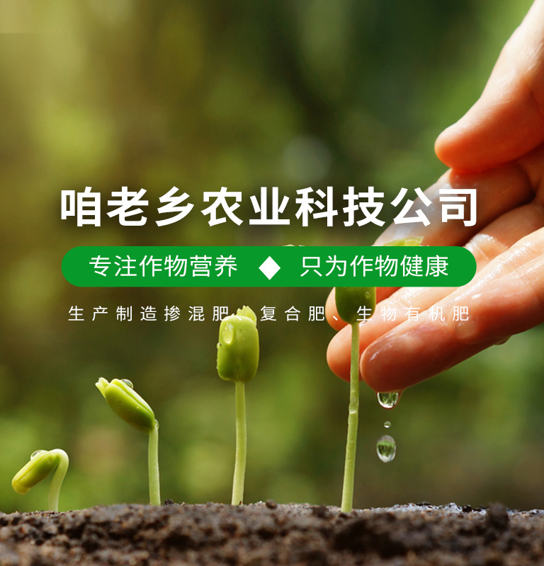 理念