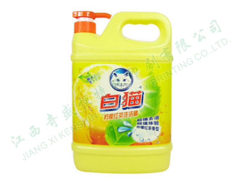 白貓