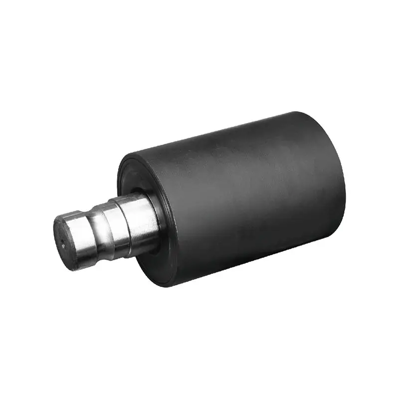 Carrier Roller
