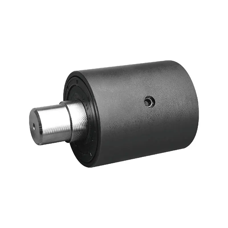 Carrier Roller