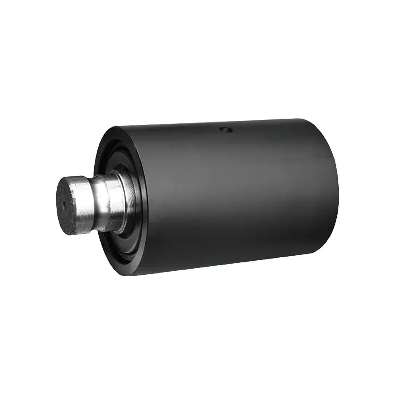 Carrier Roller