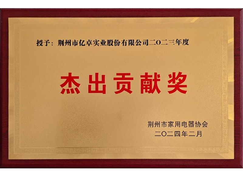 杰出貢獻獎