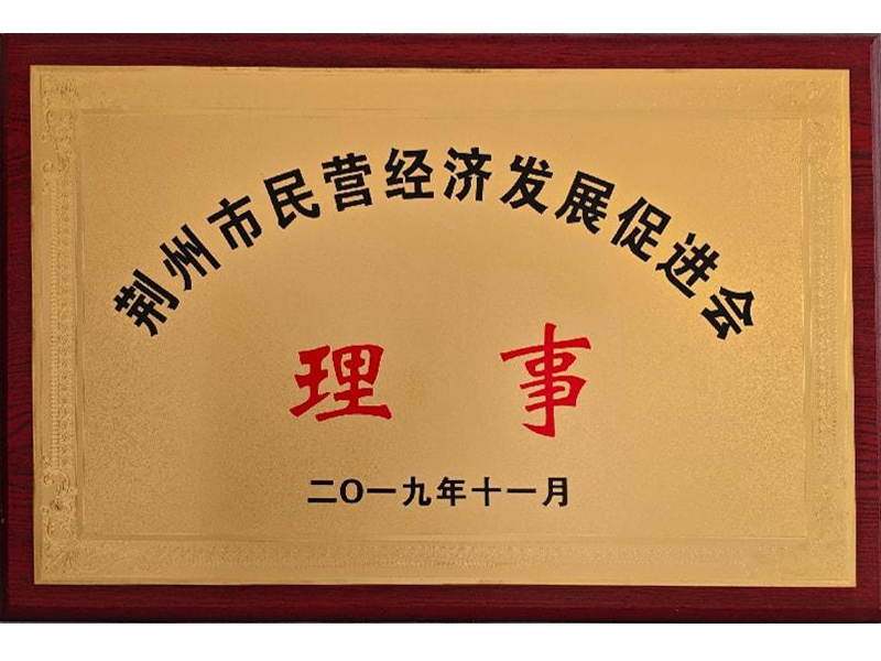 荊州市民營經(jīng)濟發(fā)展促進會理事