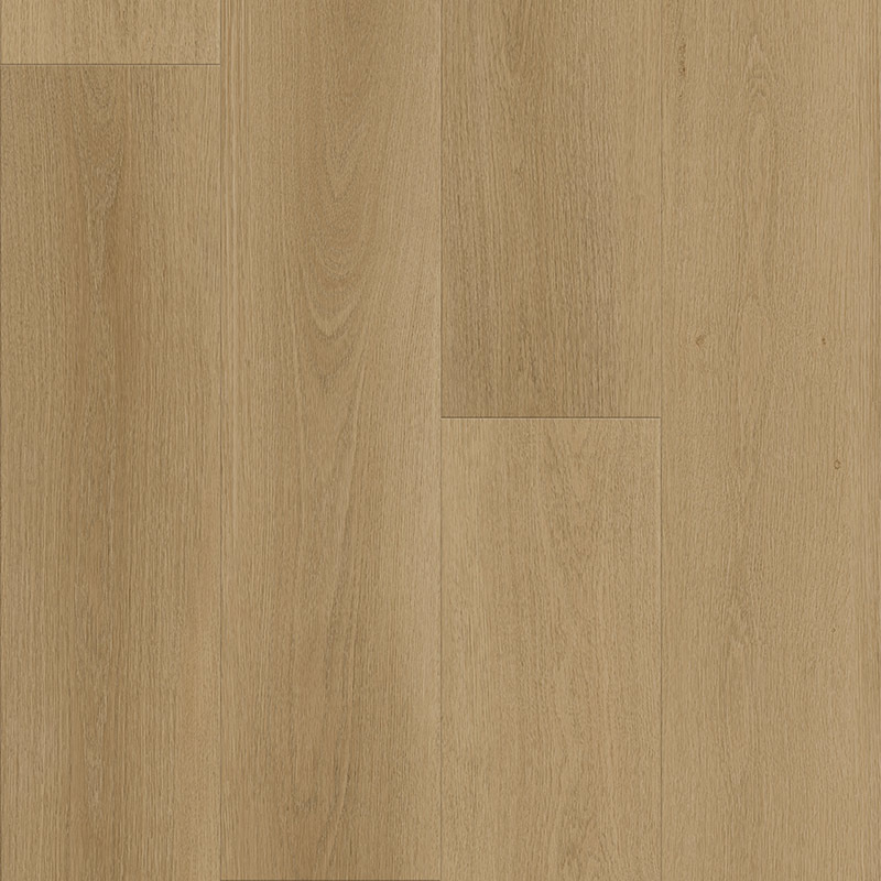 S1054