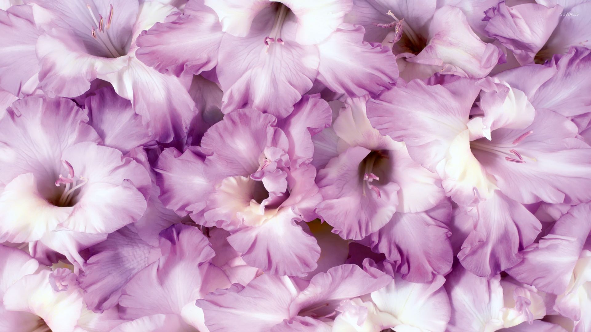 Services for flower growers