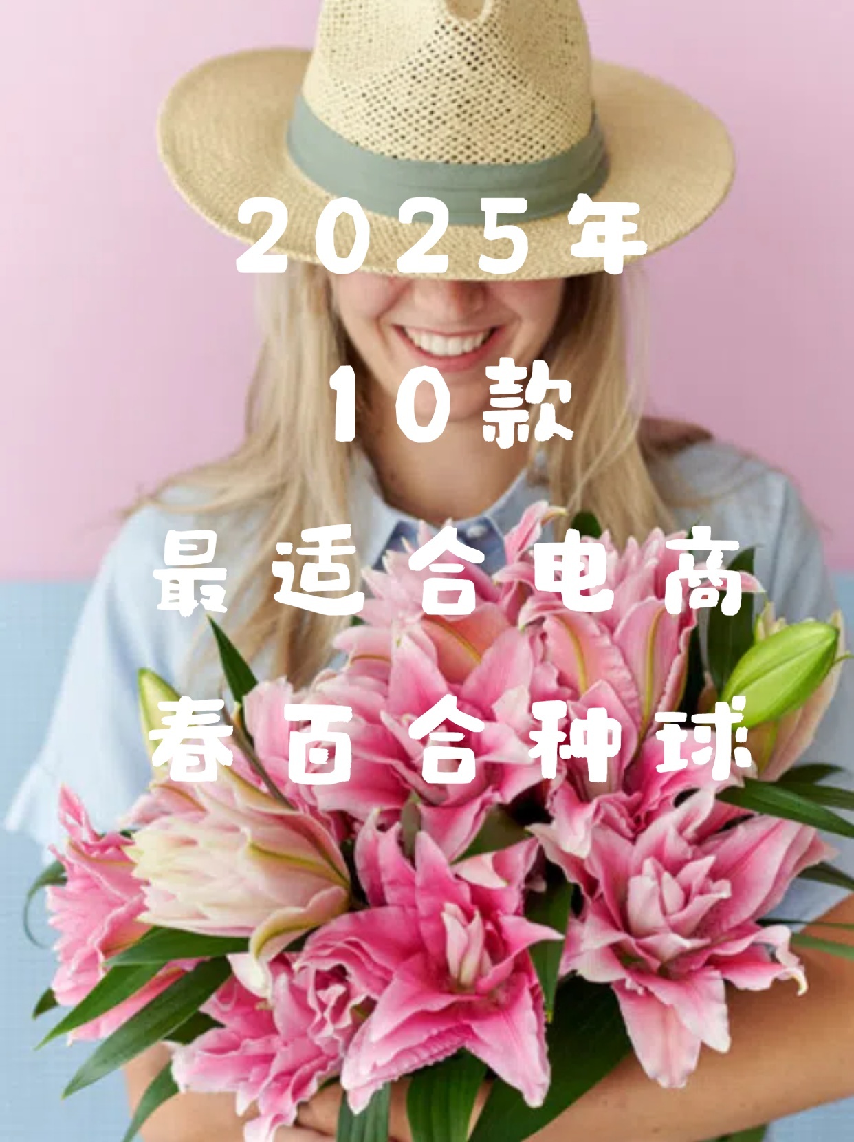 适合电商的春百合——图鉴