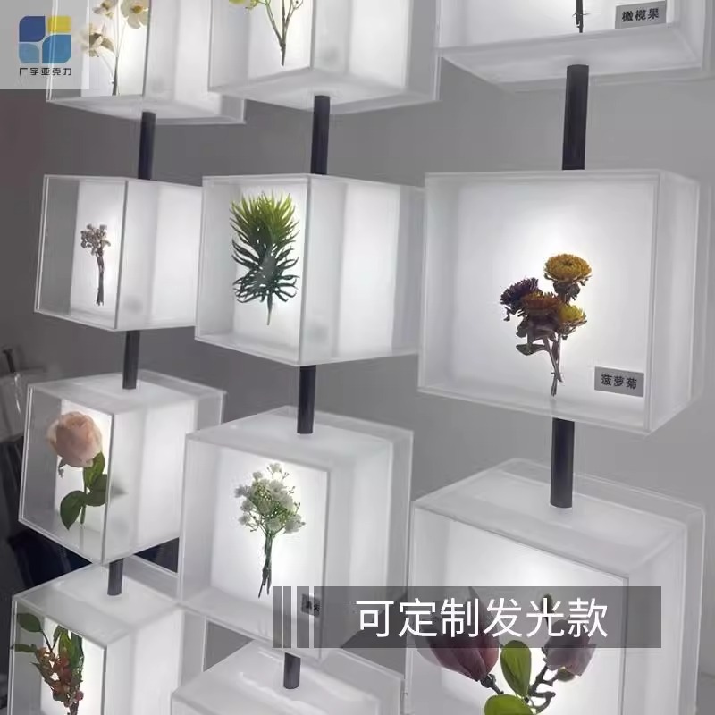 照片墙标本翻转墙标本贝壳昆虫墙售楼部样板间旋转中草药互动空盒