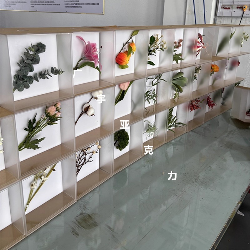 定制亚克力翻转标本盒植物中草药蝴蝶昆虫墙UV打印互动墙饰展示盒