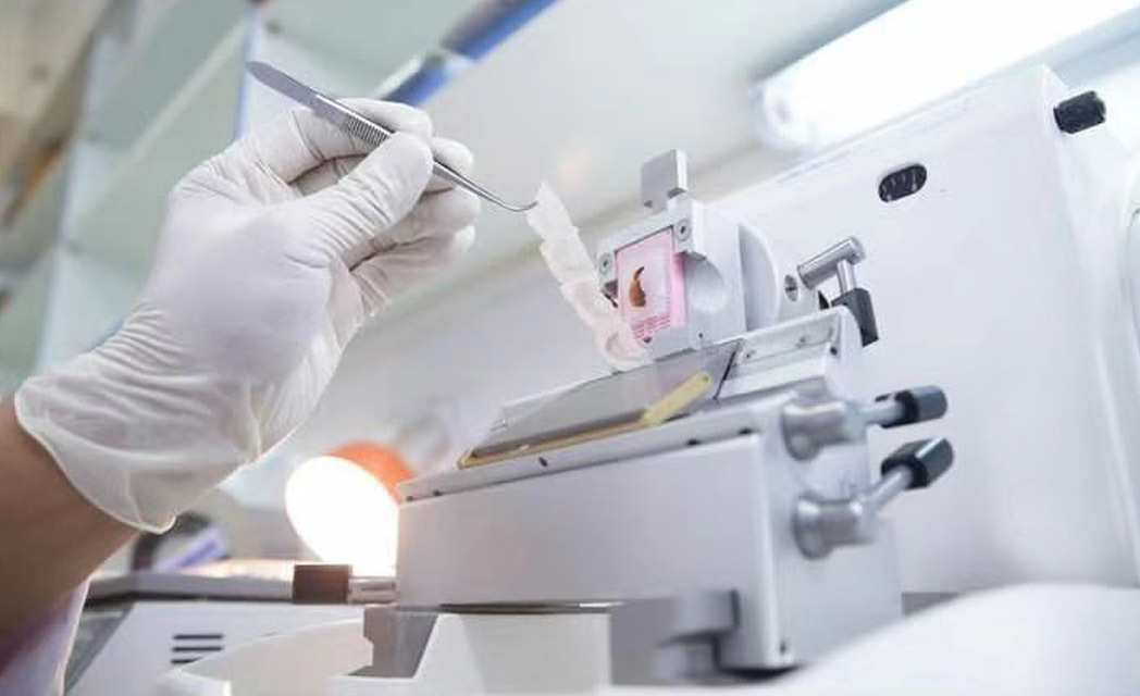 Custom chemical synthesis Custom chemical synthesis