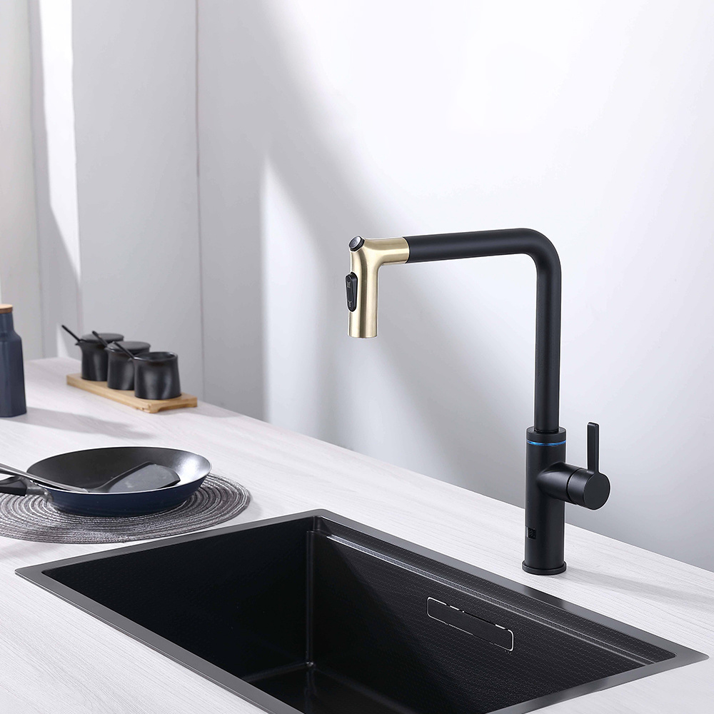 INKS3001 Kitchen Faucet