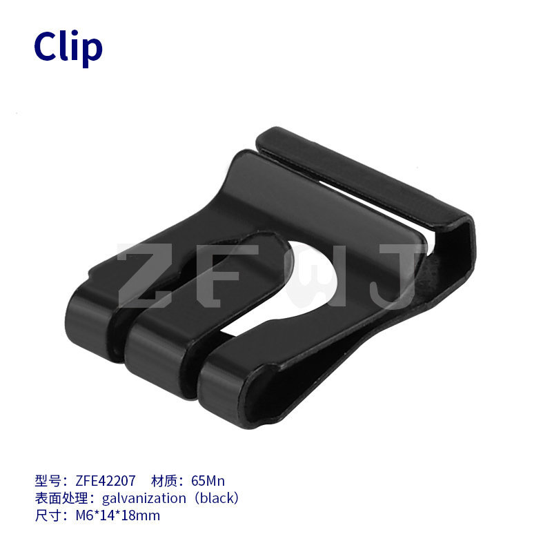 clip-ZFE42207