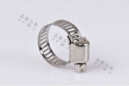 Stainless steel hoop02