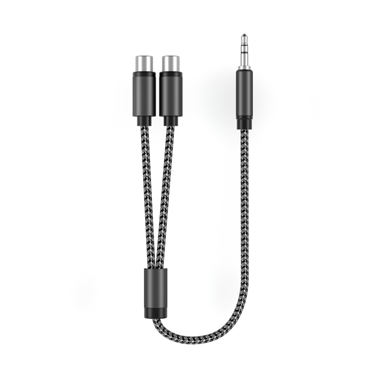 2RCA (암) to 3.5mm AUX (수) 케이블