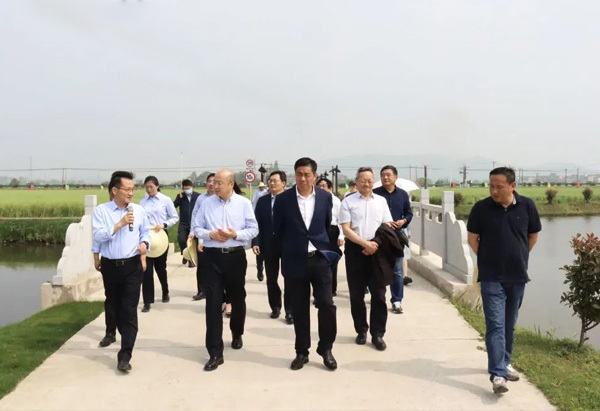 Vice Minister Zhang Xingwang of the Ministry of Agriculture and Rural Affairs visited our Eqiao Smart Agriculture Demonstration Base