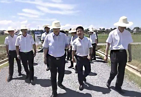 Mao Weiming, Deputy Secretary of the Hunan Provincial Party Committee and Governor of Hunan Province, investigated the provincial-level grain production 10,000 mu comprehensive demonstration film in Hebei Village, Liuyang City