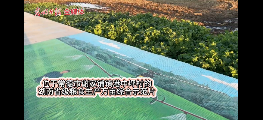 湖南田地里的智慧农业技术