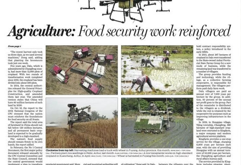 媒体报道|《中国日报》先进农场掀起技术创新潮
