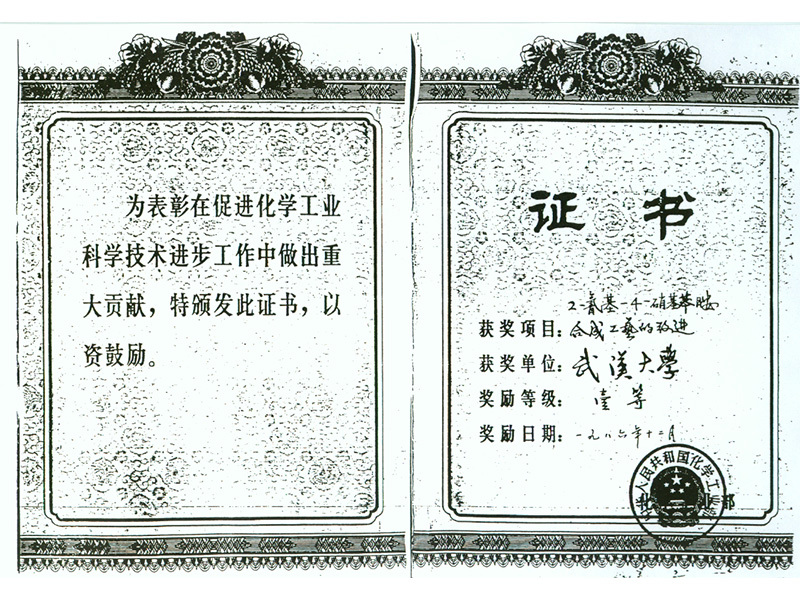 化工部科技进步奖（1986年）
